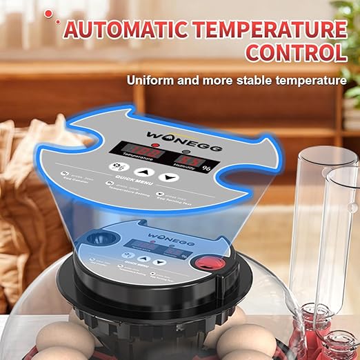 incubators for hatching eggs，12 Egg Incubator, egg incubator - Image 3