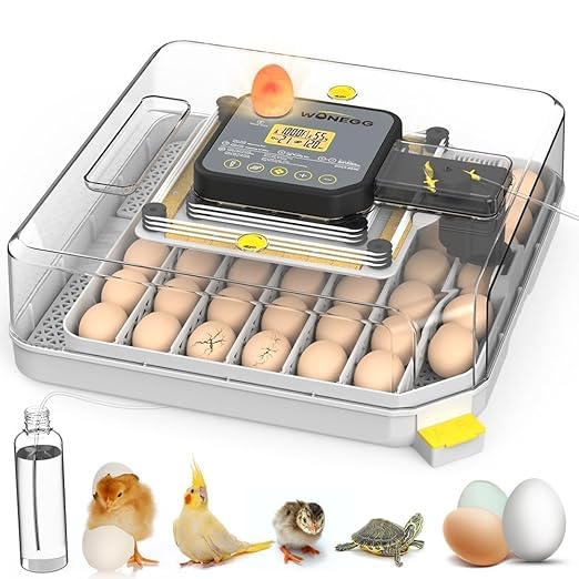 4th Gen – 48 Egg Fully Automatic Incubator, 2026 UpgradedDesign, Intelligent by Unknown