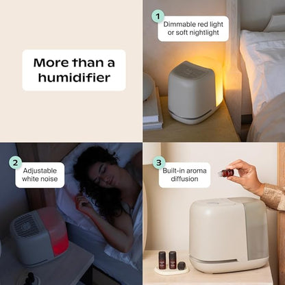 Canopy Bedside Humidifier 2.0, Moonstruck, 36 HR Run Time, 2.5L Capacity - Image 8