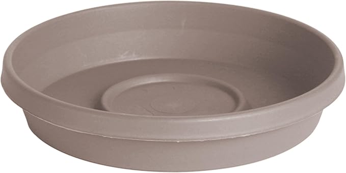 Bloem Terra Resin Saucer Tray: 6.5" Bottom Width by Bloem
