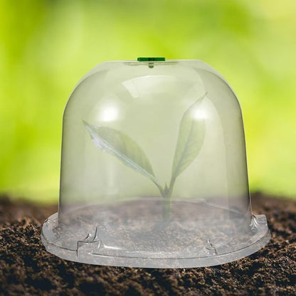 Mikikit Garden Cloche Dome Seedling Cover Plant Humidity Dome Nursery Protector - Image 8