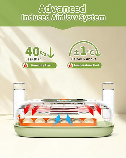 Egg Incubator for 24 Chicken Eggs - Image 3
