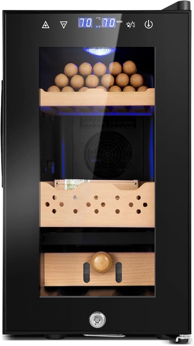 Electric Cooler Cabinet 25L by FoMup