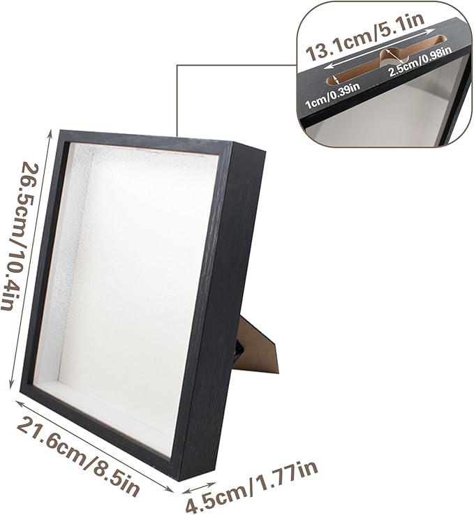Shell Shadow Box Display Frame - Image 4