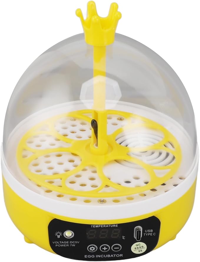 Hapivida 4 Eggs Mini Automatic Incubator, 7W Temperature Humidity Control - Image 6
