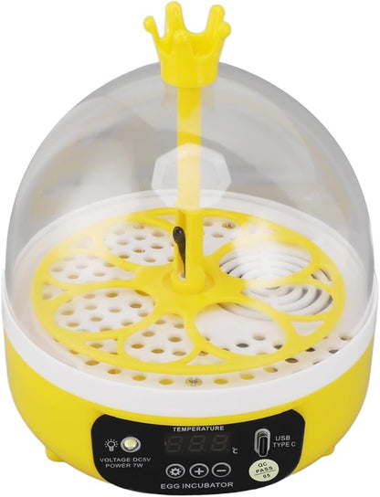 Hapivida 4 Eggs Mini Automatic Incubator, 7W Temperature Humidity Control - Image 6