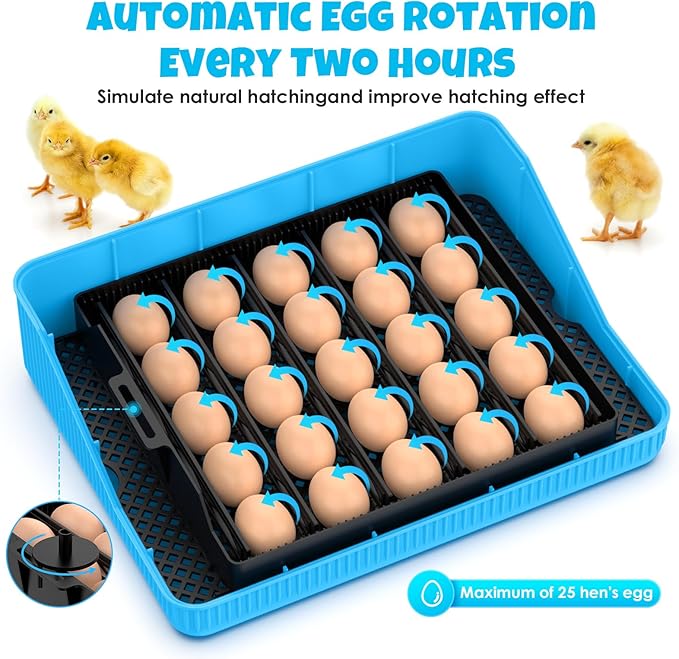 25 Egg Incubator Digital Poultry Hatcher Machine - Image 5