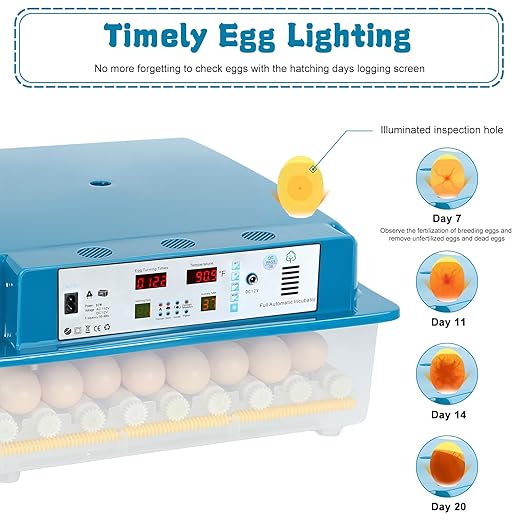 64 Egg Incubators for Hatching Eggs, - Image 7