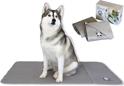 Washable Pee Pads for Dogs XXL, Reusable Puppy Training Pads, Ultra Absorbent & by TRENDY+DEN+CREATIONS