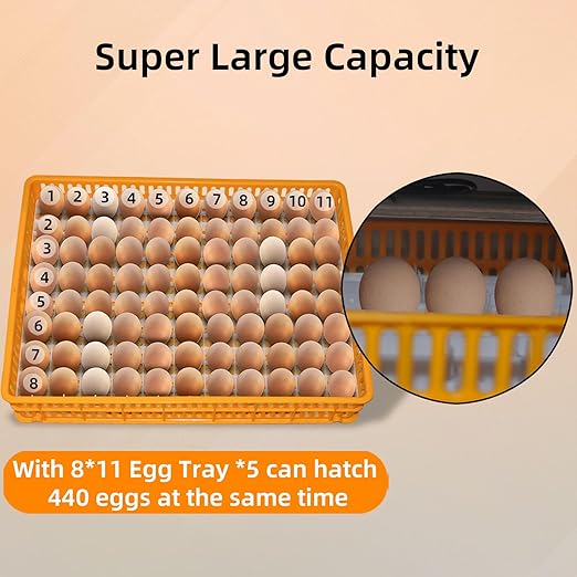 XKV 440 Egg Incubator with Automatic Egg Turning, Temperature Control and - Image 2