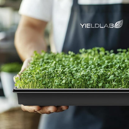 10x20 Inch Black Plastic 10 Pack Plant Propagation Tray – Growing Trays - Image 7