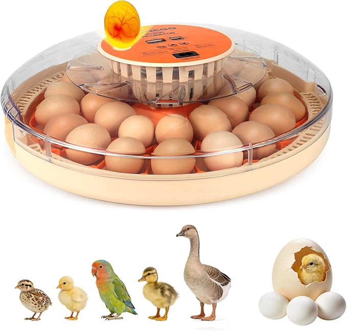 Smart Lite 30-Egg Incubator for Experienced Hands-On Hatchers, Auto Egg Turn by ZEMIROCHARGE