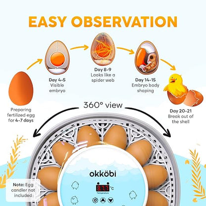 M12 Incubators for Hatching Eggs - Image 4