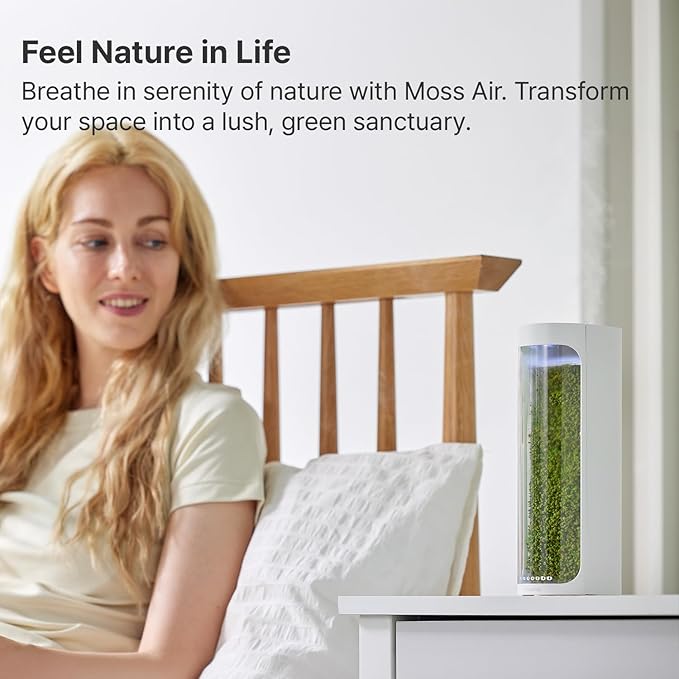 Moss Air – Living Moss Terrarium Humidifier | Soothing Mist Fountain & Ambient - Image 2