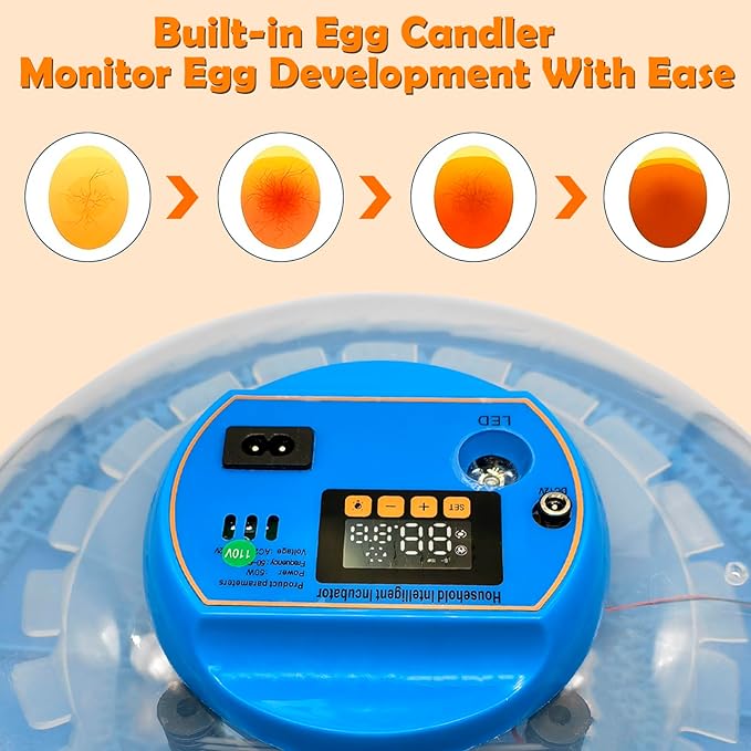 26-Egg Incubator with Automatic Egg Turning and Humidity Control | with 360° - Image 6