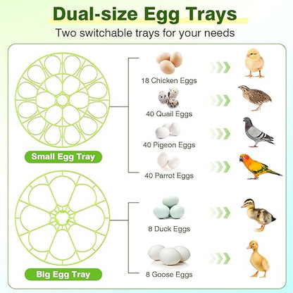 18 Egg Incubators for Hatching Eggs, Egg Incubator - Image 6