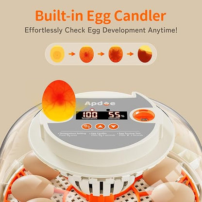 Egg Incubator with Temperature and Humidity Control, Automatic Egg Turning - Image 5