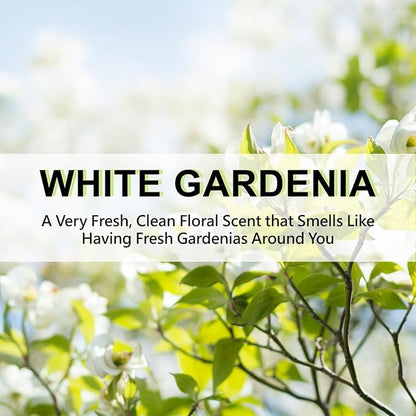 ROSE COTTAGE Large 12 Packs White Gardenia Hanging Closet Deodorizer Air - Image 7
