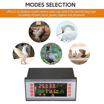Automatic Egg Incubator 160V-220V 50Hz, Digital LED Display - Image 5