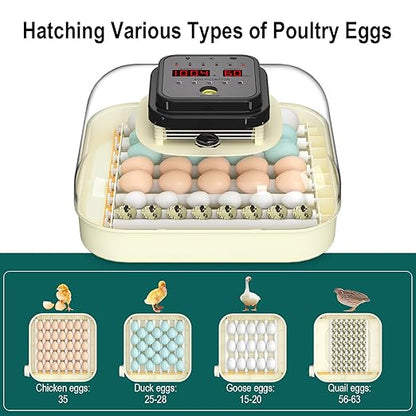 35 Egg Incubator with Automatic Egg Turning and Humidity Control, Incubator - Image 6