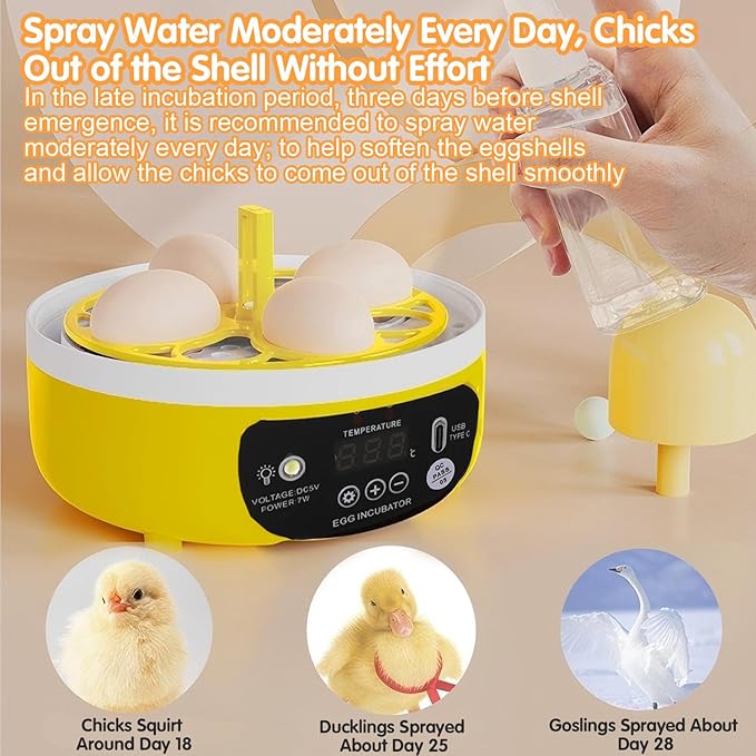 4 Eggs Mini Incubator with Transparent Lid, 7W Automatic Temperature Humidity - Image 5