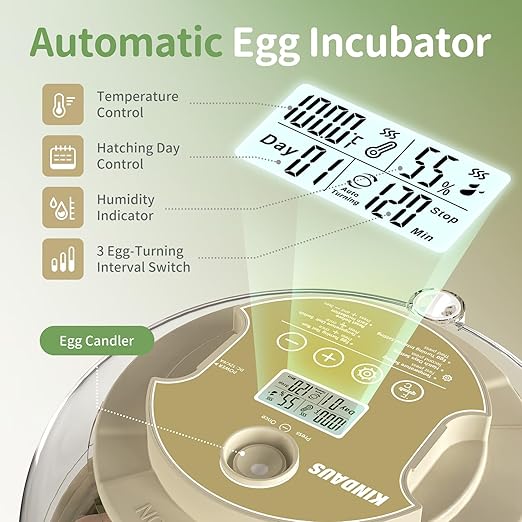 Large Capacity Egg Incubator for Hatching Eggs - Image 2