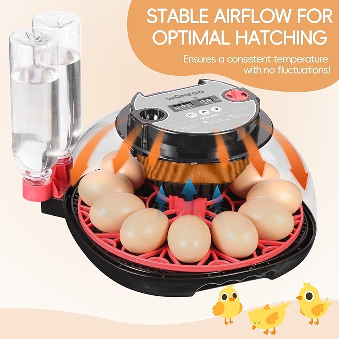 Simple Plus 12-Egg Incubator for Beginners, Full-Stage Adaptive Humidity & Temp - Image 6