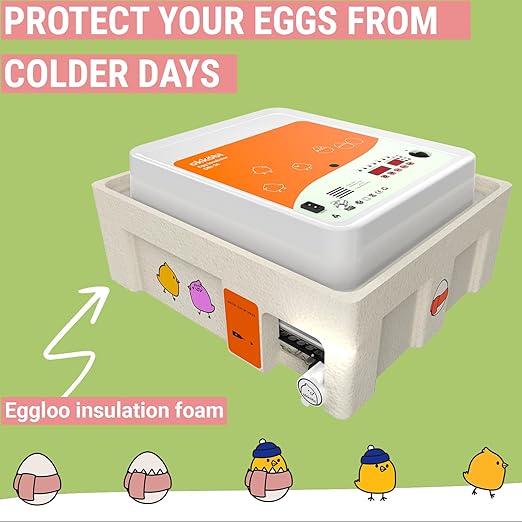 OBI-36 Egg Incubator for Hatching - Image 6