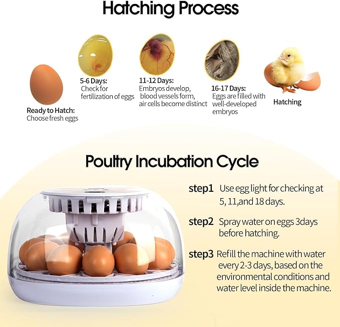 Explore 12 Egg Automatic Incubator - Image 6