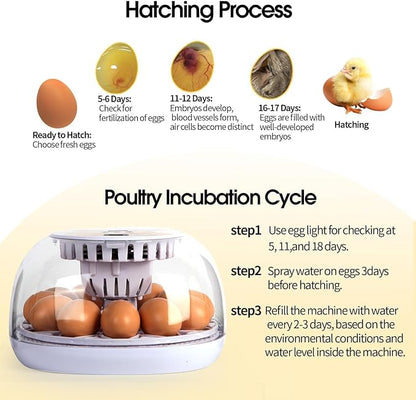 Explore 12 Egg Automatic Incubator - Image 6