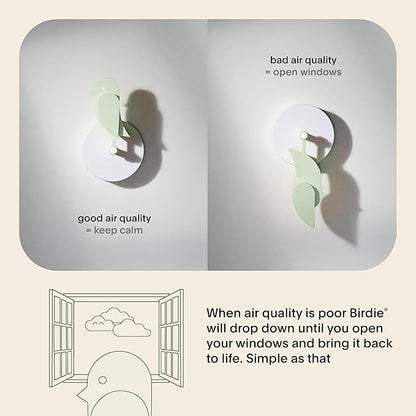 Birdie 2.0 - Design Indoor CO2 Monitor - Air Quality Meter - Image 3