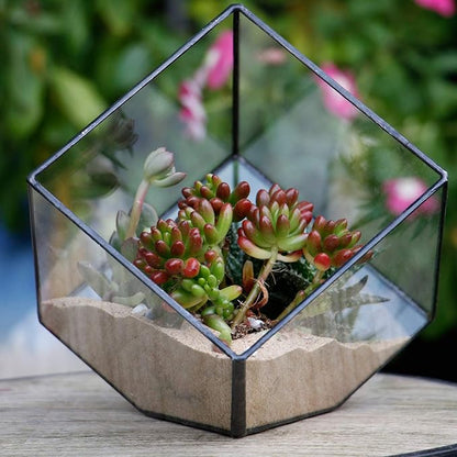 ELEGANTLIFE Glass Geometric Plant Terrarium Container, Flower Pot Tabletop - Image 3