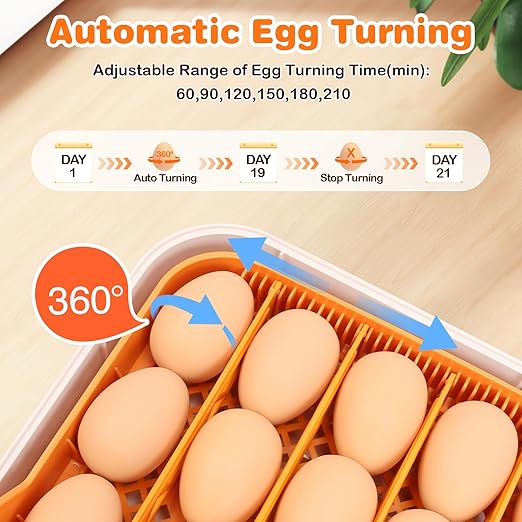 56 Egg Incubator for Hatching Eggs, Egg Incubators - Image 2