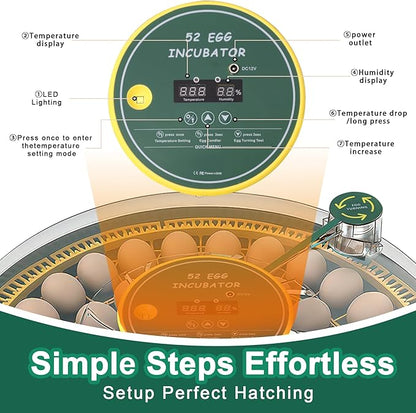 52 Egg Incubator with Automatic Egg Turning and Humidity Control, 360 Degree - Image 3