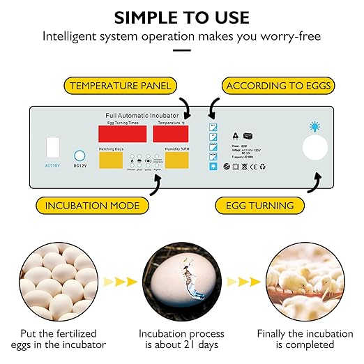 Egg Incubator, Egg Incubator - Image 6