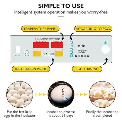 Egg Incubator, Egg Incubator - Image 6