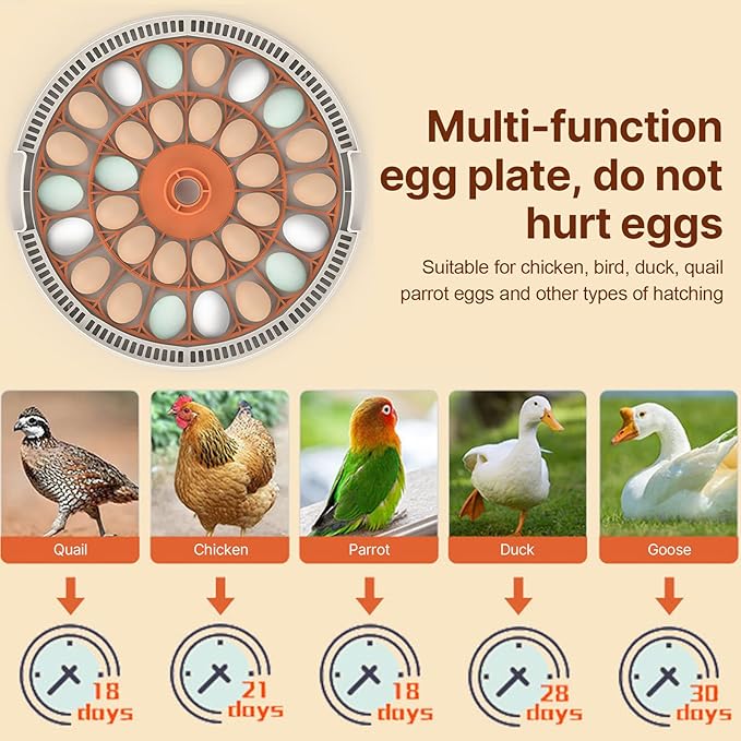 30 Eggs Incubator with Automatic Egg Turning with External Injection Water - Image 3