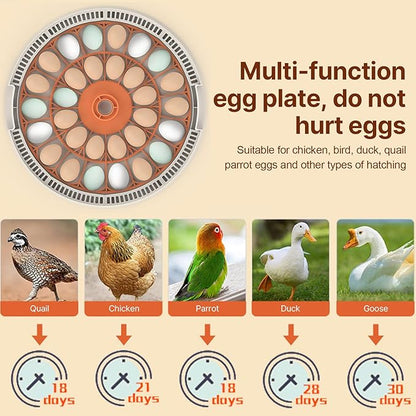 30 Eggs Incubator with Automatic Egg Turning with External Injection Water - Image 3
