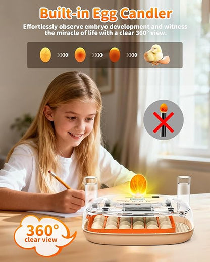 Egg Incubator for 24 Chicken Eggs - Image 6