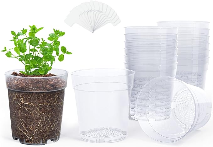 homenote Clear Nursery Pots for Plants, 6.7 Inch Plant Pot for Planting Plastic by HOMENOTE