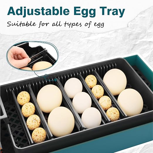 Incubator for Hatching Chicks, 10 Eggs Incubators - Image 6