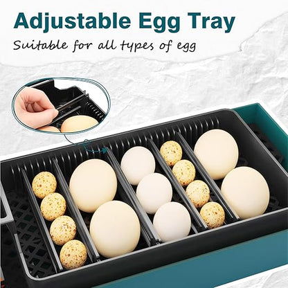 Incubator for Hatching Chicks, 10 Eggs Incubators - Image 6