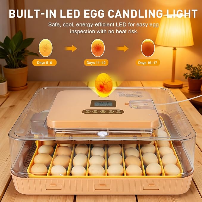 Automatic 56-Egg Incubator for Breeders, Sensor-Based Precise Humidity+Temp - Image 4
