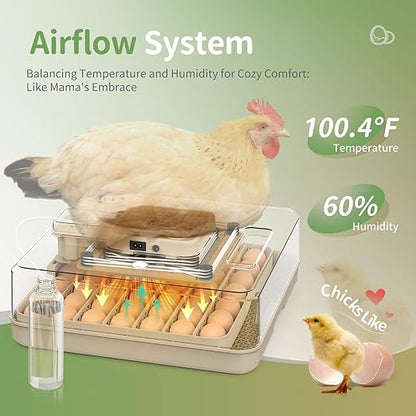 Egg Incubators for Hatching Eggs, Egg Incubator - Image 4
