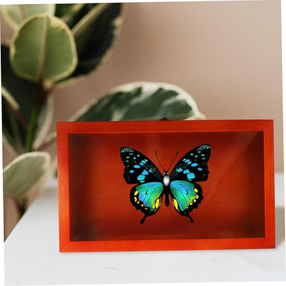 DOITOOL Vintage Style Rectangular Wooden Box Pin Display Case - Image 7