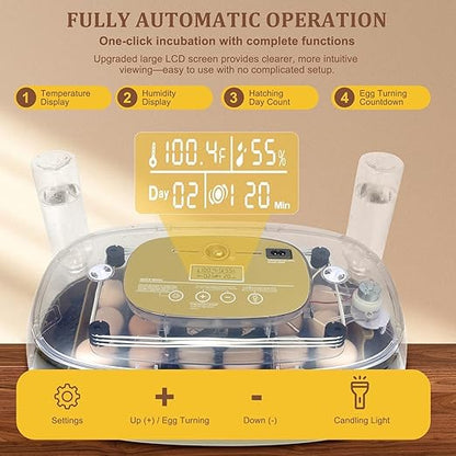 3rd Gen - 24 Egg Automatic Incubator, Stage-Based Adaptive Humidity - Image 2