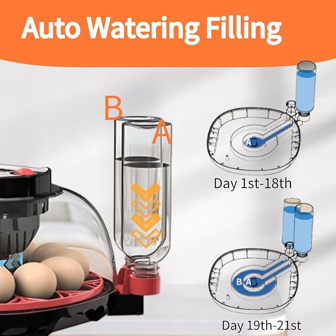Egg Incubators for Hatching Eggs, Incubator for 12 Eggs Automatic Turning - Image 4
