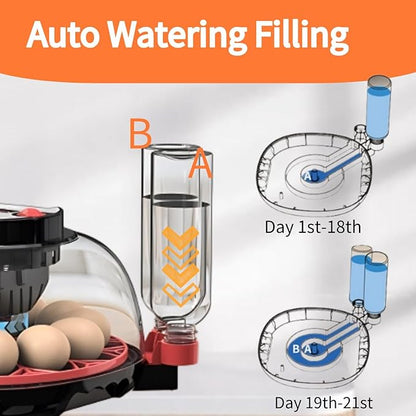 Egg Incubators for Hatching Eggs, Incubator for 12 Eggs Automatic Turning - Image 4