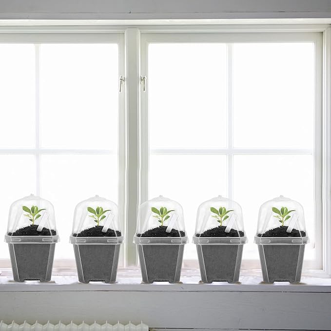 EBaokuup 10Pcs 4" Clear Plant Nursery Pots - Image 4