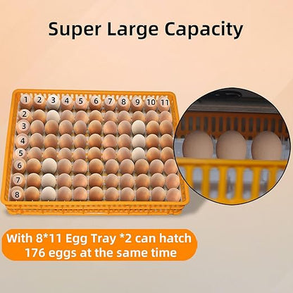 XKV 176 Eggs Incubator with Automatic Egg Turning, Temperature Humidity Control - Image 5